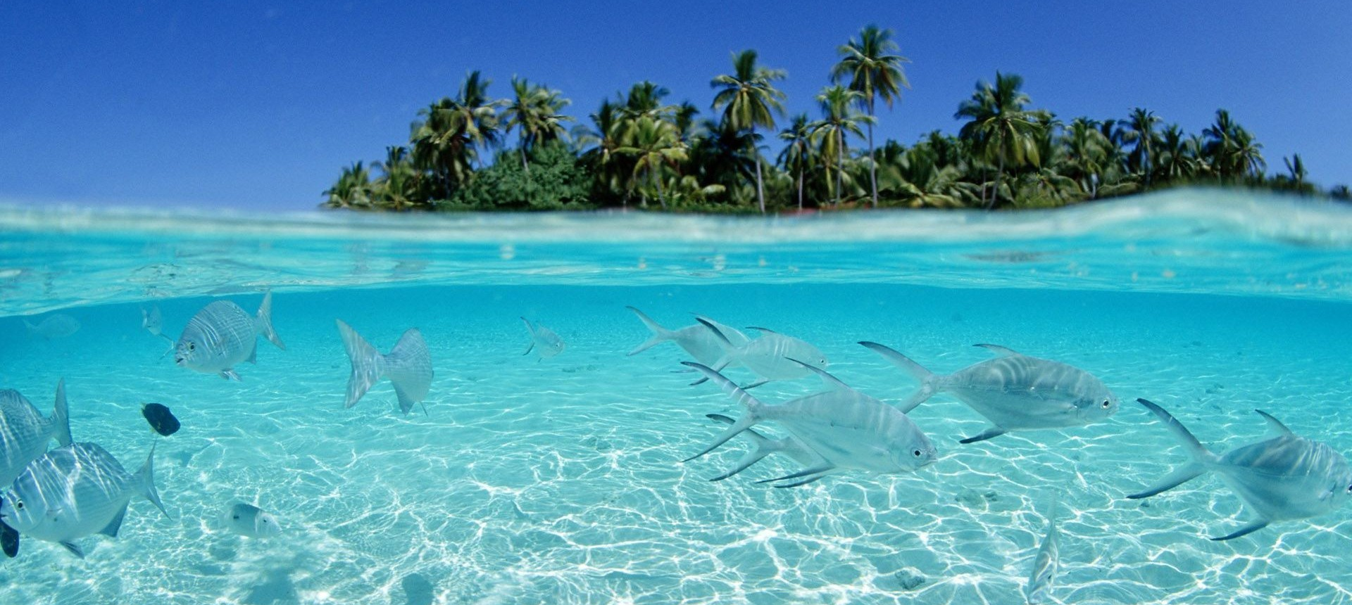 Maldives